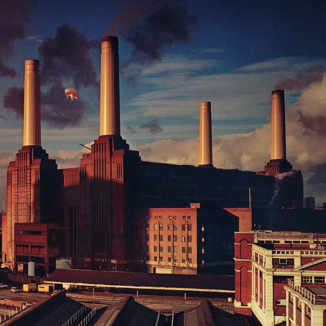 Animals - the unloving grind of capitalism